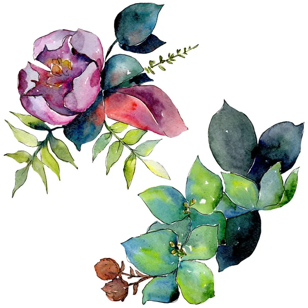 Composição de buquê flores botânicas florais. Conjunto de fundo aquarela. Isolado buquê elemento ilustração . — Fotografia de Stock