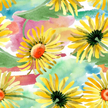 Sarı papatya çiçek botanik çiçekler. Suluboya arka plan illüstrasyon küme. Sorunsuz arka plan deseni.