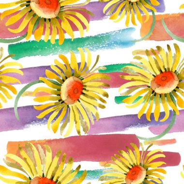 Sarı papatya çiçek botanik çiçekler. Suluboya arka plan illüstrasyon küme. Sorunsuz arka plan deseni.