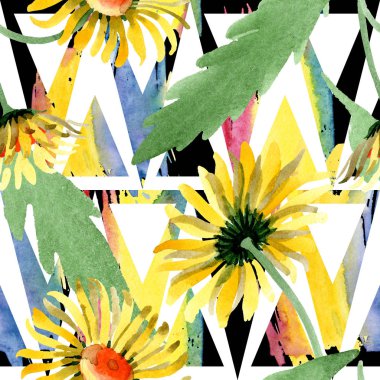 Sarı papatya çiçek botanik çiçekler. Suluboya arka plan illüstrasyon küme. Sorunsuz arka plan deseni.