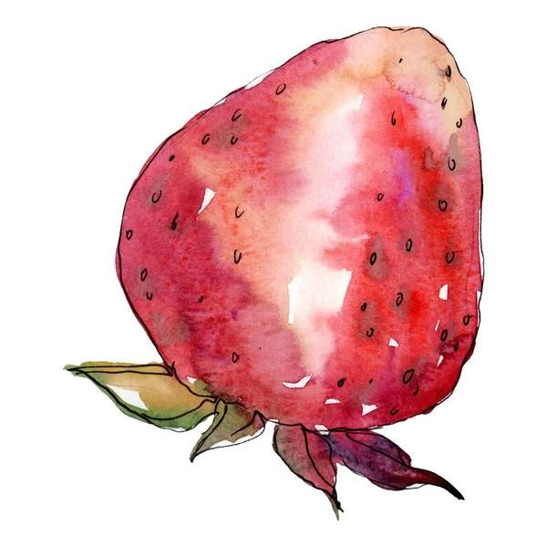 分離された水彩画のイチゴの健康食品。水彩画背景セット。孤立したベリーの図要素. — ストック写真