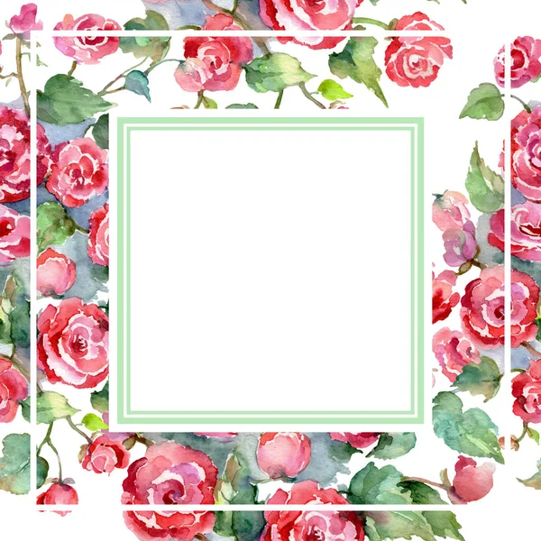 Red rose bouquet floral botanical flowers. Watercolor background illustration set. Frame border ornament square.