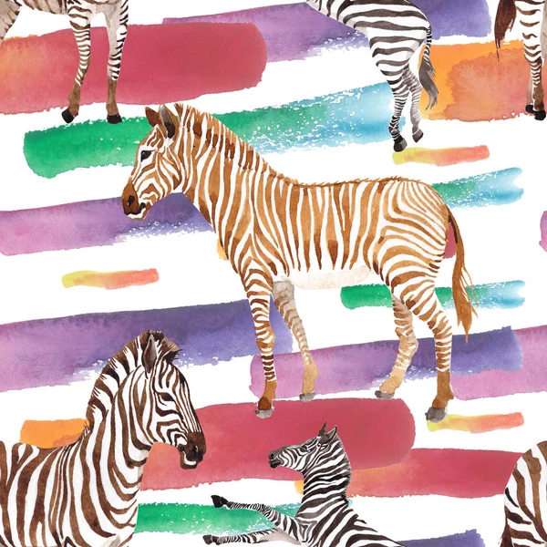 Egzotyczne zebra dzikich zwierząt w stylu przypominającym akwarele. Zestaw ilustracji tle akwarela. Bezszwowe tło wzór. — Zdjęcie stockowe