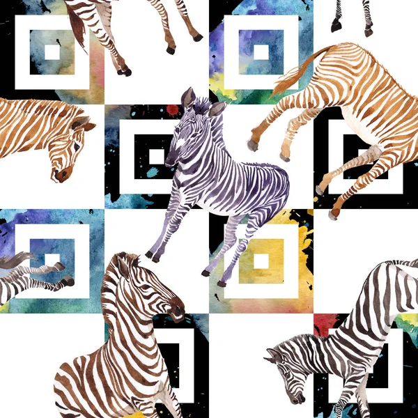 Exotiska zebra vilda djur i akvarell stil. Akvarell bakgrund illustration set. Sömlös bakgrundsmönster. — Stockfoto