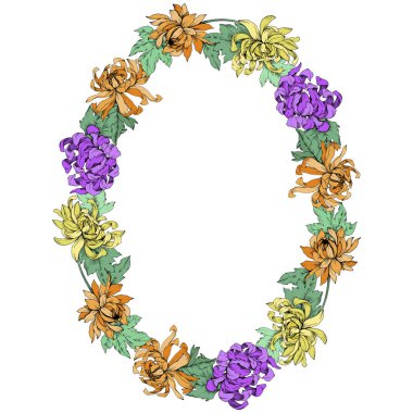 Vektör krizantem çiçek botanik çiçekler. Oyulmuş mürekkep sanat. Çerçeve kenarlığı süsleme Meydanı.