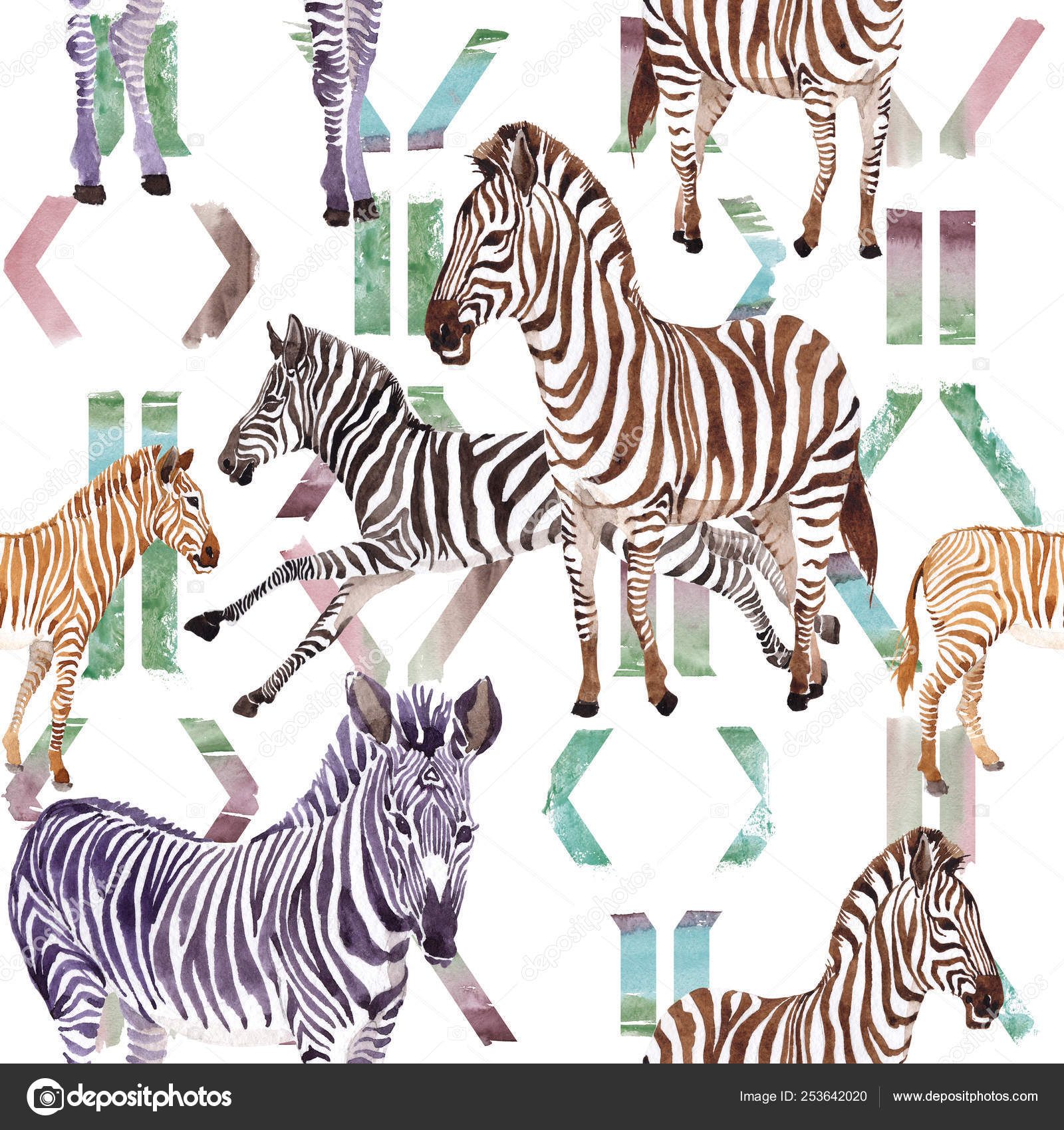 Zebra Images Libres De Droit Photos De Zebra Depositphotos