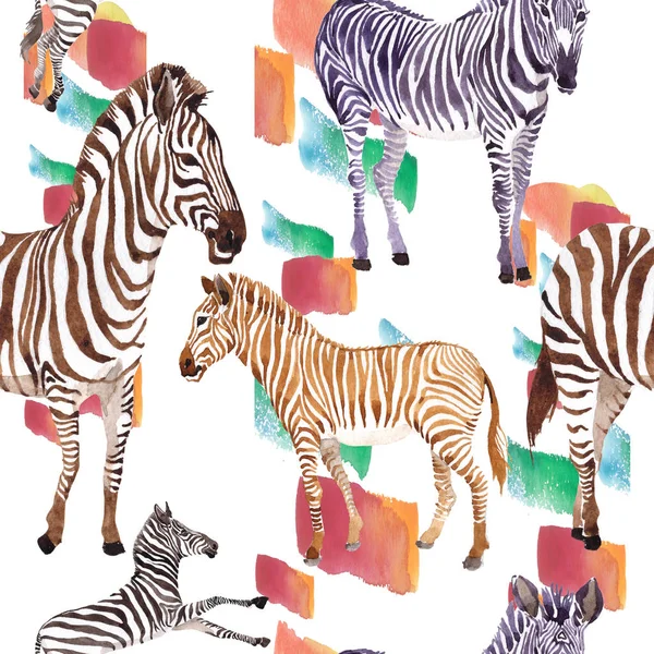 Exotiska zebra vilda djur i akvarell stil. Akvarell bakgrund illustration set. Sömlös bakgrundsmönster. — Stockfoto