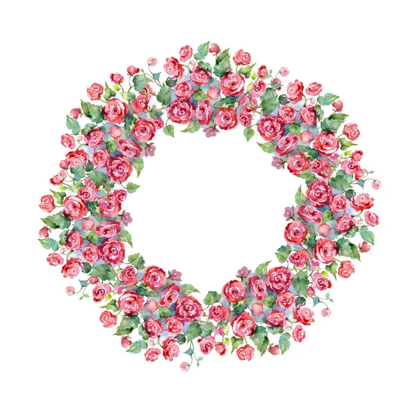 Vermelho rosa buquê flores botânicas florais. Conjunto de ilustração de fundo aquarela. Quadro borda ornamento quadrado . — Fotografia de Stock