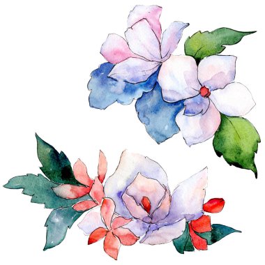 Buketler çiçek botanik çiçekler. Suluboya arka plan illüstrasyon küme. İzole buket illüstrasyon öğesi.