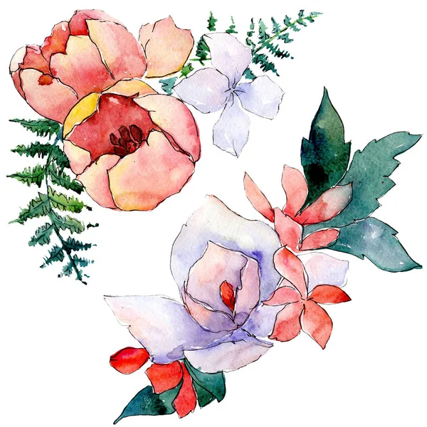 Bukiety kwiatowe kwiaty botanicznych. Zestaw ilustracji tle akwarela. Element ilustracja na białym tle bukiet. — Zdjęcie stockowe