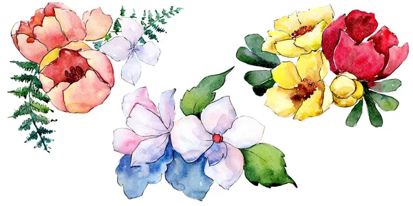 Μπουκέτα λουλουδιών βοτανικό λουλούδια. Ακουαρέλα φόντο εικόνα σύνολο. Απομονωμένη μπουκέτο εικονογράφηση στοιχείο. — Φωτογραφία Αρχείου