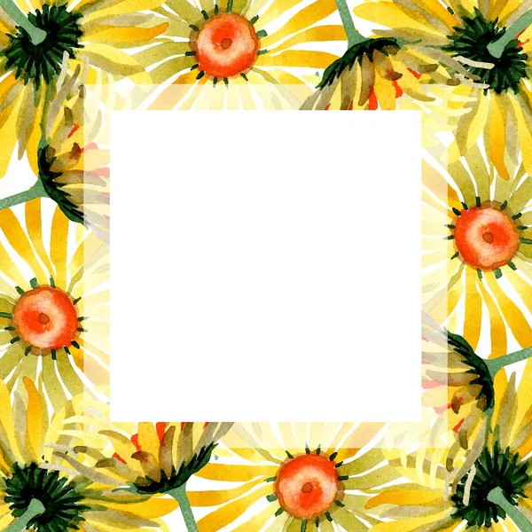 Fiori botanici floreali margherita gialla. Acquerello sfondo illustrazione set. Quadrato ornamento bordo cornice . — Foto Stock
