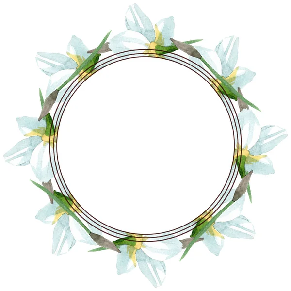 Fiore botanico floreale narciso bianco. Acquerello sfondo illustrazione set. Quadrato ornamento bordo cornice . — Foto Stock
