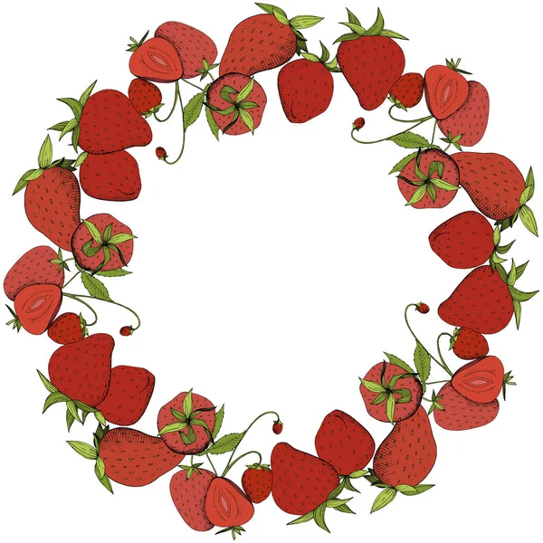 Vector aardbeien vers fruit gezond voedsel. Rood en groen gegraveerd inkt kunst. Frame grens ornament vierkant. — Stockvector