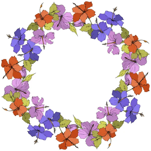 Vecteur Hibiscus fleur botanique florale. Encre gravée. Cadre bordure ornement carré . — Image vectorielle