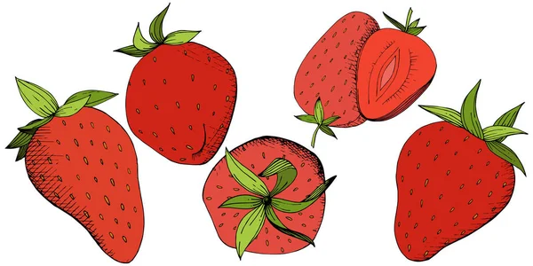 Vector Morango comida saudável. Tinta vermelha e verde gravada arte. Elemento de ilustração de baga isolado sobre fundo branco . — Vetor de Stock