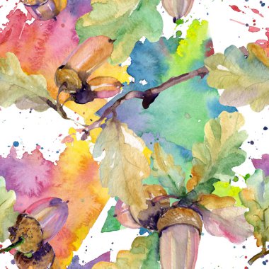 Meşe palamudu yeşil yaprakları ve fındık. Suluboya arka plan illüstrasyon küme. Sorunsuz arka plan deseni.