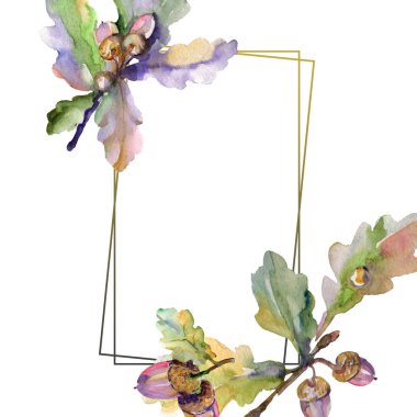 Meşe palamudu yeşil yaprakları ve fındık. Suluboya arka plan illüstrasyon küme. Çerçeve kenarlığı süsleme Meydanı.