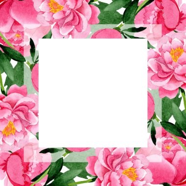 Pembe peony çiçek botanik çiçekler. Suluboya arka plan illüstrasyon küme. Çerçeve kenarlığı süsleme Meydanı.