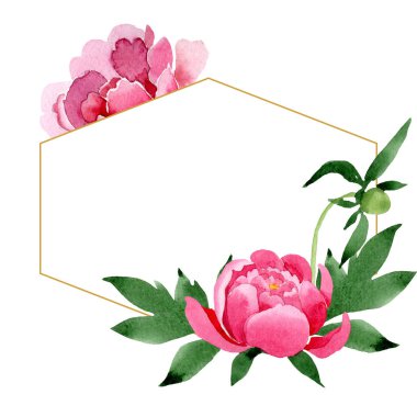 Pembe peony çiçek botanik çiçekler. Suluboya arka plan illüstrasyon küme. Çerçeve kenarlığı süsleme Meydanı.
