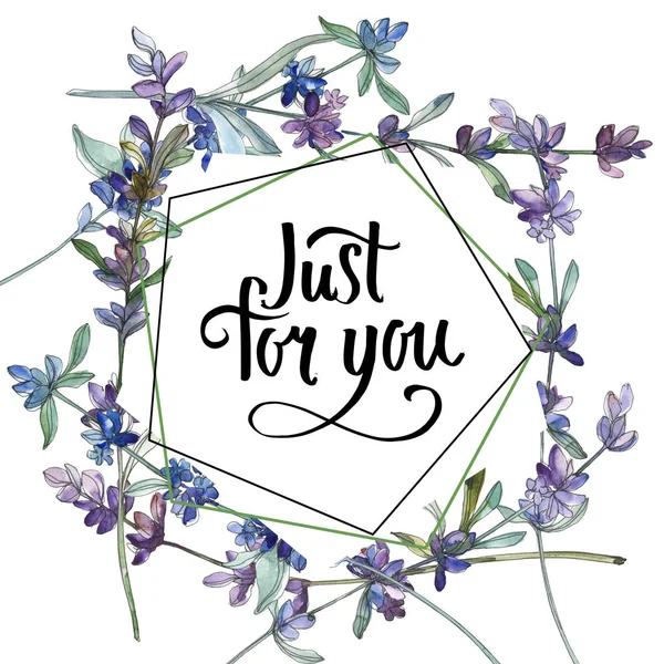 Lila Lavendel blühende botanische Blume. Aquarell Hintergrundillustration Set. Rahmen Rand Ornament Quadrat. — Stockfoto