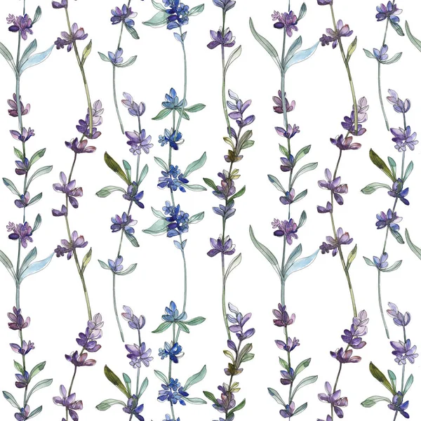 Flor botánica floral de lavanda púrpura. Conjunto de ilustración de fondo acuarela. Patrón de fondo sin costuras . — Foto de Stock