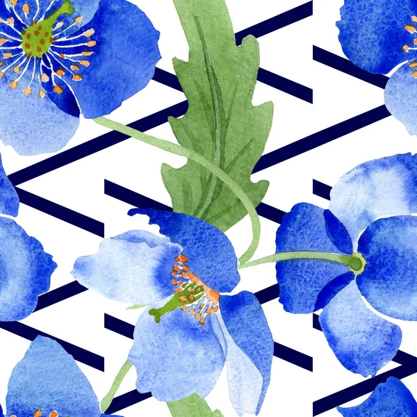 Flores botánicas florales de amapola azul. Juego de ilustración en acuarela. Patrón de fondo sin costuras . —  Fotos de Stock