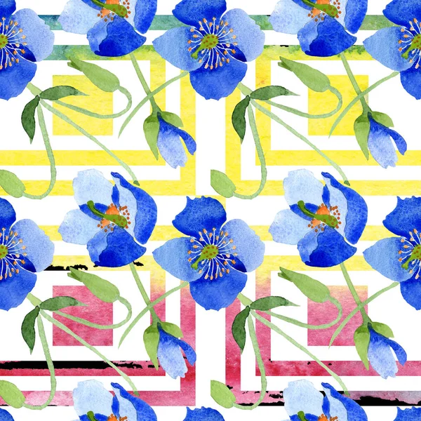 Fiori botanici floreali di papavero blu. Set illustrazione acquerello. Modello di sfondo senza soluzione di continuità . — Foto Stock