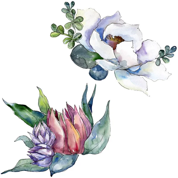Csokorkészítés virág botanikai virágok. Akvarell háttér illusztráció készlet. Elszigetelt csokor ábra elem. — Stock Fotó