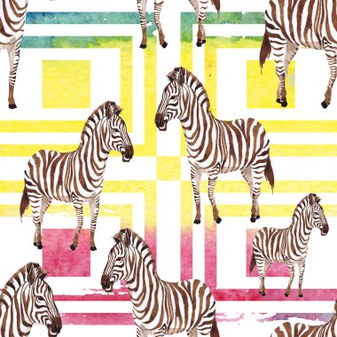 Egzotik zebra vahşi hayvan suluboya tarzında. Suluboya arka plan illüstrasyon küme. Sorunsuz arka plan deseni.