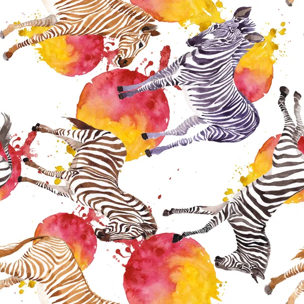 Egzotikus zebra vadon élő állatok akvarell stílusú. Akvarell háttér illusztráció készlet. Varratmentes háttérben minta. — Stock Fotó