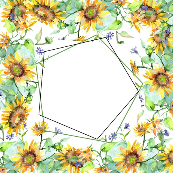 Bouquet de tournesol fleurs botaniques florales. Ensemble d'illustration de fond aquarelle. Cadre bordure ornement carré . — Photo