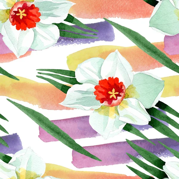 흰 수 선화 꽃 식물 꽃입니다. 수채화 배경 그림 설정 합니다. 원활한 배경 패턴. — 스톡 사진