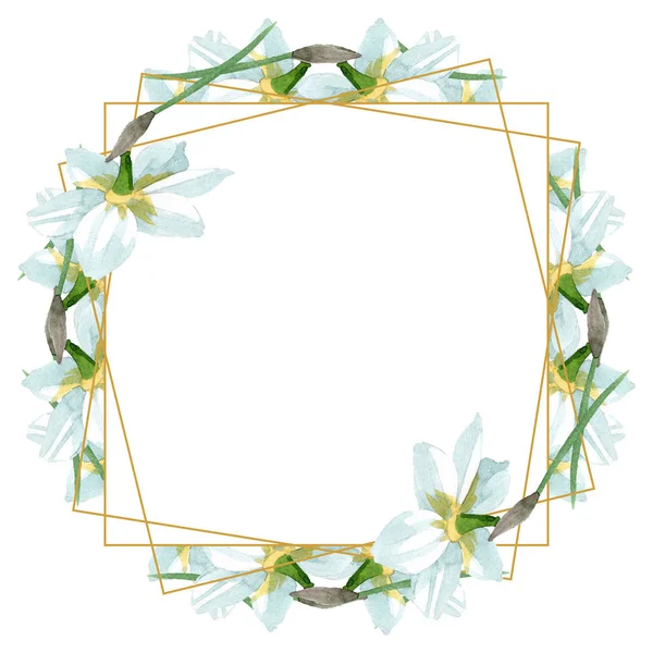 白色水仙花植物花。水彩背景插图集。框架边框装饰正方形. — 图库照片