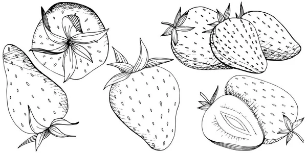 イチゴの健康食品をベクトルします。黒と白には、アートが刻まれています。孤立したベリーの図要素. — ストックベクタ