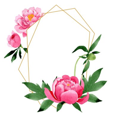 Pembe peony çiçek botanik çiçekler. Vahşi bahar yaprak izole kır çiçeği. Suluboya arka plan illüstrasyon küme. Suluboya çizim moda aquarelle izole. Çerçeve kenarlığı süsleme Meydanı.