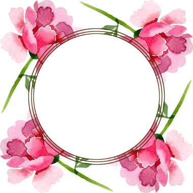 Pembe peony çiçek botanik çiçekler. Vahşi bahar yaprak izole kır çiçeği. Suluboya arka plan illüstrasyon küme. Suluboya çizim moda aquarelle izole. Çerçeve kenarlığı süsleme Meydanı.