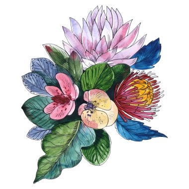 Buket çiçek botanik çiçekler. Vahşi bahar yaprak izole kır çiçeği. Suluboya arka plan illüstrasyon küme. Suluboya çizim moda aquarelle. İzole buket illüstrasyon öğesi.