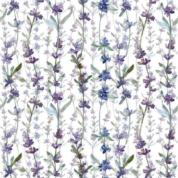 Lavanda Roxa Flor Botânica Floral Folha Selvagem Primavera Wildflower Conjunto — Fotografia de Stock