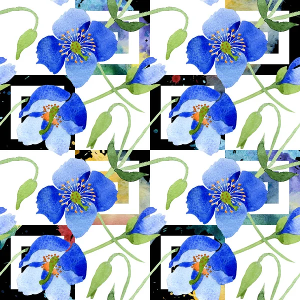 Fiori Botanici Papavero Blu Fiore Selvatico Primaverile Isolato Set Illustrazione — Foto Stock