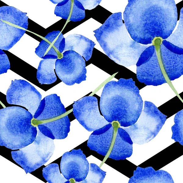Fiori Botanici Papavero Blu Fiore Selvatico Primaverile Isolato Set Illustrazione — Foto Stock