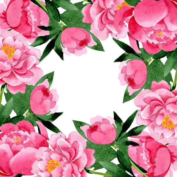 Rosa Peônia Flores Botânicas Florais Folha Selvagem Primavera Wildflower Isolado — Fotografia de Stock