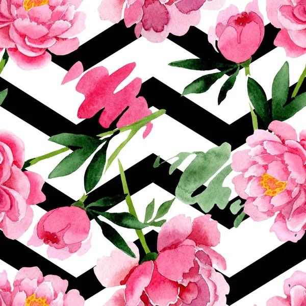 Розовые Пионские Ботанические Цветы Дикий Весенний Цветок Изолирован Набор Акварельных — стоковое фото
