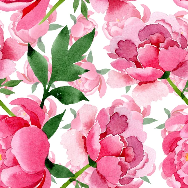 Flores Botânicas Peônia Rosa Folha Selvagem Primavera Wildflower Isolado Conjunto — Fotografia de Stock