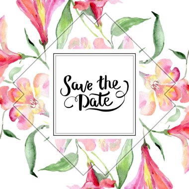 Pembe alstroemeria buket botanik çiçek. Vahşi bahar yaprak izole kır çiçeği. Suluboya arka plan illüstrasyon küme. Suluboya çizim moda aquarelle. Çerçeve kenarlığı süsleme Meydanı.