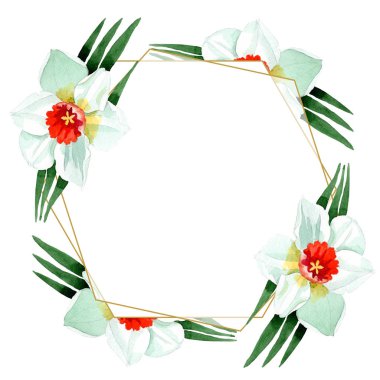 Beyaz nergis botanik çiçek. Vahşi bahar yaprak izole kır çiçeği. Suluboya arka plan illüstrasyon küme. Suluboya çizim moda aquarelle izole. Çerçeve kenarlığı süsleme Meydanı.