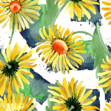 Sarı papatya botanik çiçek. Vahşi bahar yaprak kır çiçeği. Suluboya resim kümesi. Suluboya çizim moda aquarelle izole. Sorunsuz arka plan deseni. Kumaş duvar kağıdı yazdırma doku.