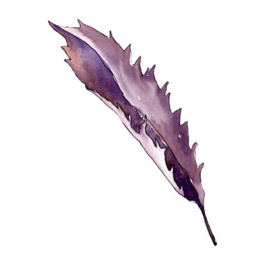 Kahverengi chesthut yaprağı. Suluboya arka plan illüstrasyon set... İzole yaprakları illüstrasyon öğesi.