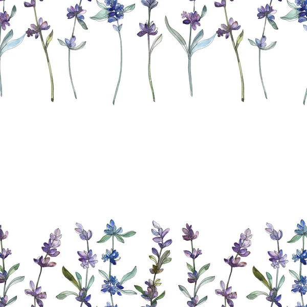 Lavanda roxa flor botânica floral. Conjunto de ilustração de fundo aquarela. Quadro borda ornamento quadrado . — Fotografia de Stock