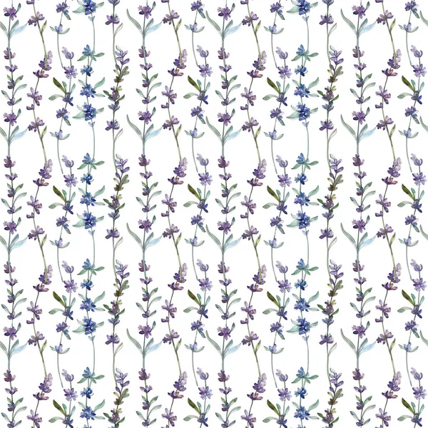 Lavanda roxa flor botânica floral. Conjunto de ilustração de fundo aquarela. Padrão de fundo sem costura . — Fotografia de Stock